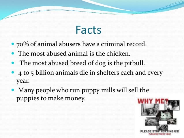 different types of animal abuse different types of animal abuse
